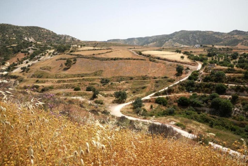 Panoramic Holidays Peyia Extérieur photo