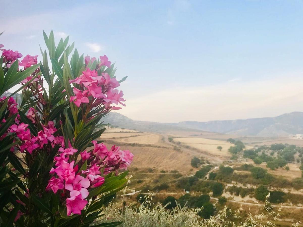 Panoramic Holidays Peyia Extérieur photo